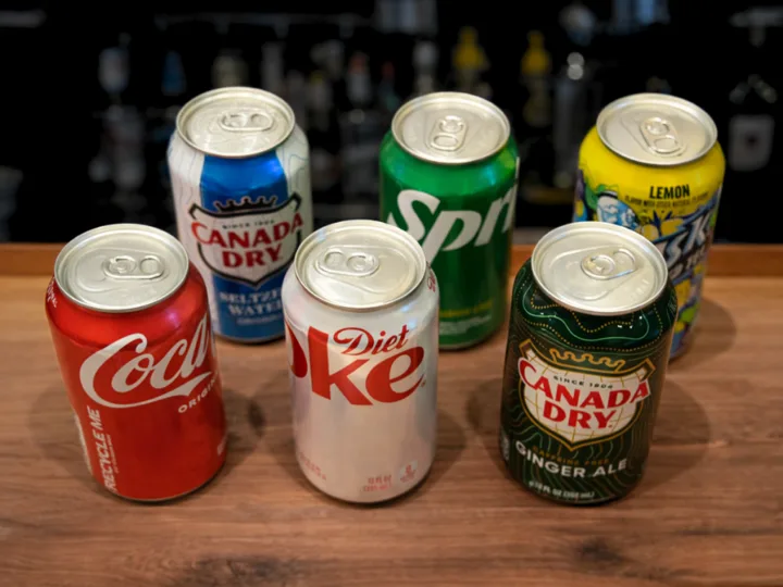Assorted Individual Sodas